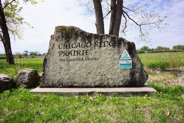 10620 Central Avenue 2B, Chicago Ridge, IL 60415