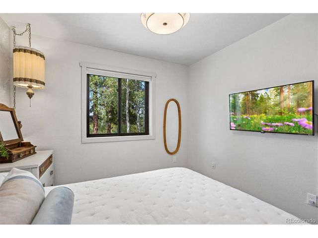 38 Pinon Rd, Bailey, CO 80421