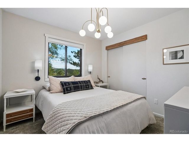 38 Pinon Rd, Bailey, CO 80421