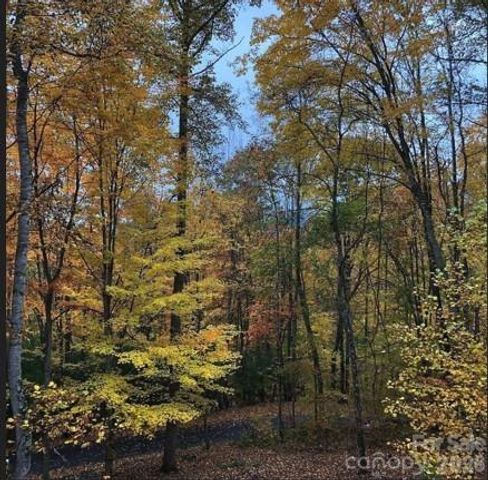 49 Brandywine Road, Waynesville, NC 28786