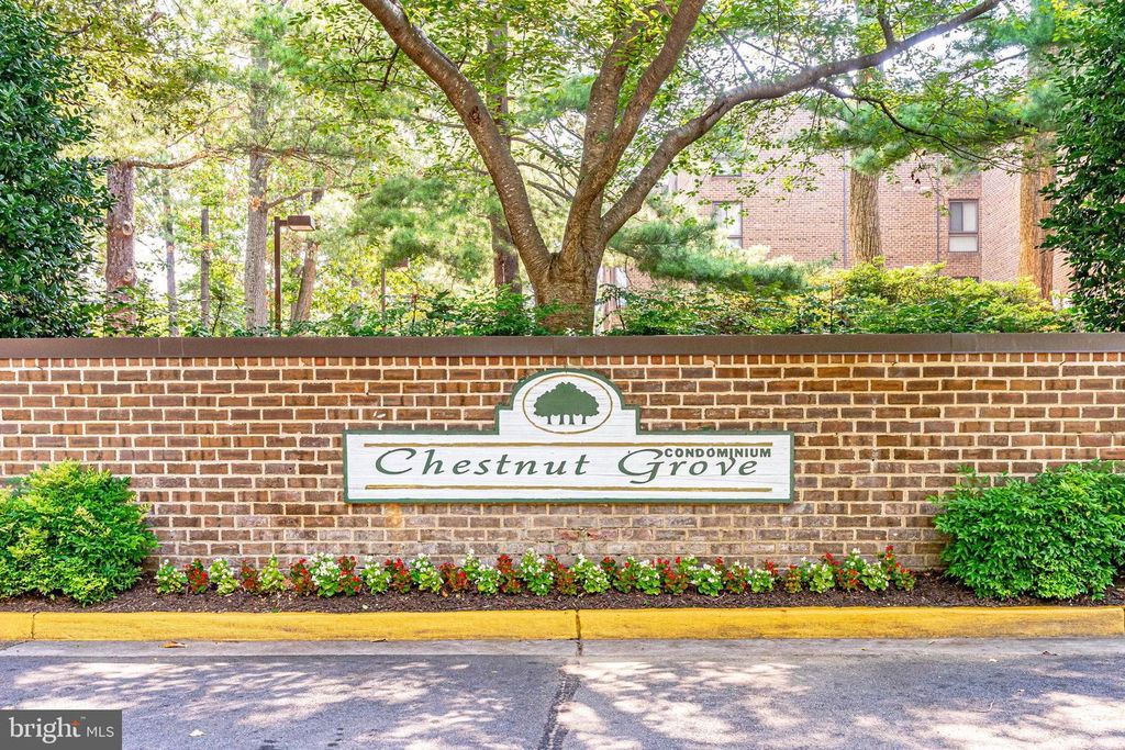 11216 CHESTNUT GROVE SQ #10, Reston, VA 20190