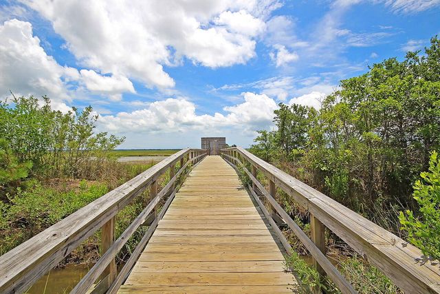 1420 Longspur Drive, Mount Pleasant, SC 29466