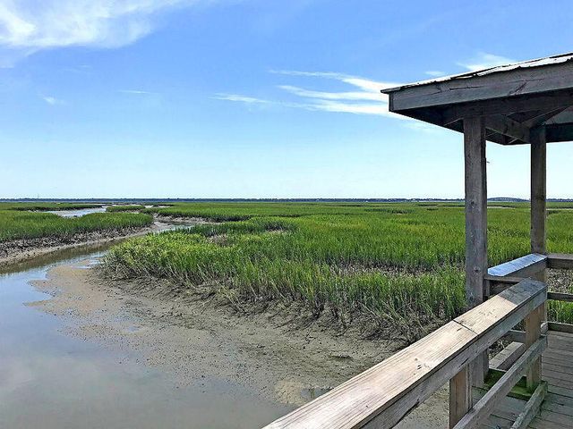 1420 Longspur Drive, Mount Pleasant, SC 29466