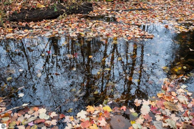 4255 E Spencer Road, Kalkaska, MI 49646