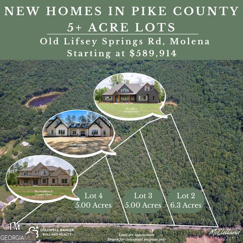 3243 Old Lifsey Springs Road, Molena, GA 30258