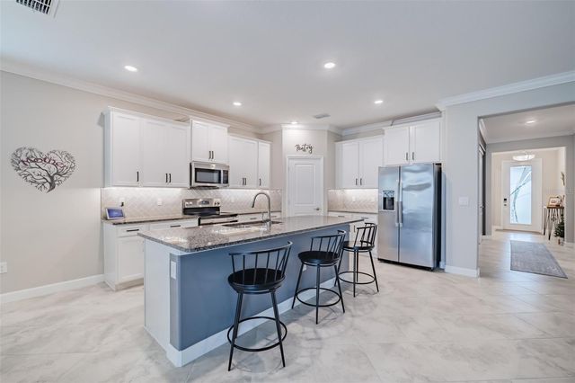 31565 CANNON RUSH DRIVE, San Antonio, FL 33576