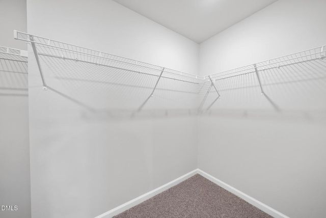 3836 Mason Bluff Drive, Raleigh, NC 27616