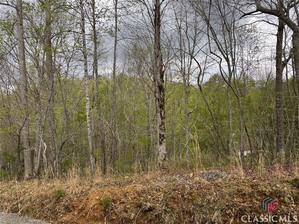 0 Aspen Court, Ellijay, GA 30540