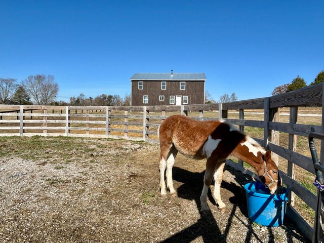 101 Tudy Ridge Road, Science Hill, KY 42553