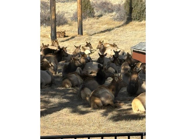 1817 Ranch Cir, Estes Park, CO 80517