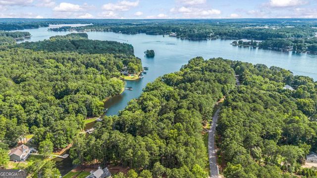 1110 Cosby Circle, Greensboro, GA 30642