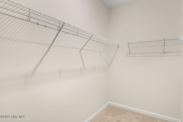 4155 Bertines Court, Elm City, NC 27822