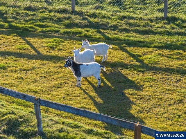 38742 Scravel Hill Rd NE, Albany, OR 97322