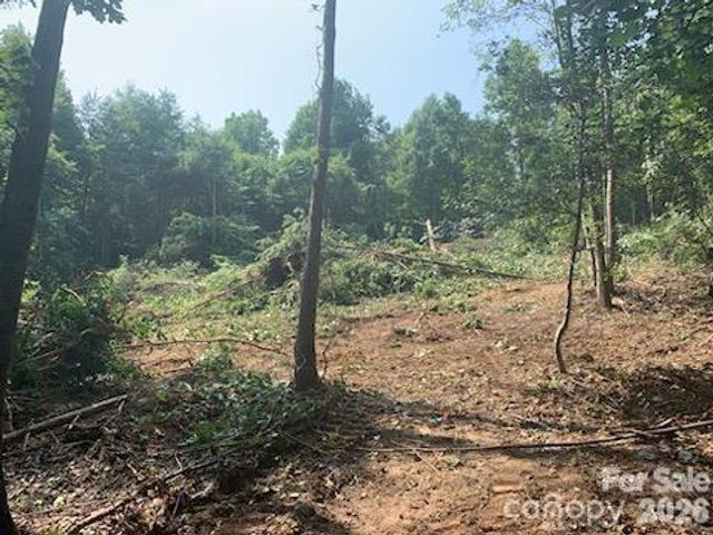 1 Old Vashti Road, Taylorsville, NC 28681