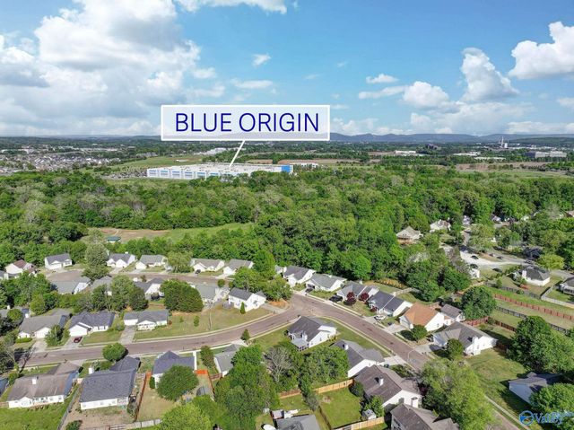 201 Sandy Wood Court, Madison, AL 35758