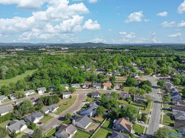 201 Sandy Wood Court, Madison, AL 35758