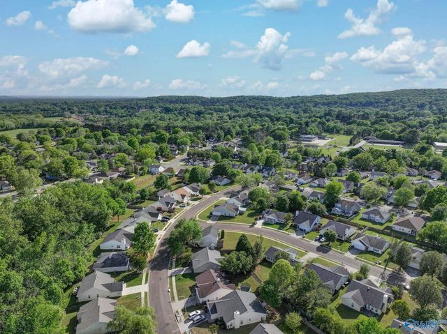 201 Sandy Wood Court, Madison, AL 35758