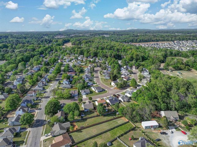 201 Sandy Wood Court, Madison, AL 35758