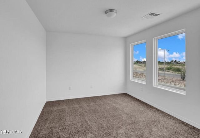 232 Olive Branch Trail, Santa Teresa, NM 88008