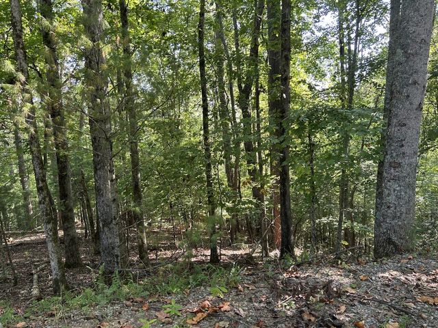 Lot 341 Catawba Circle, Ellijay, GA 30540