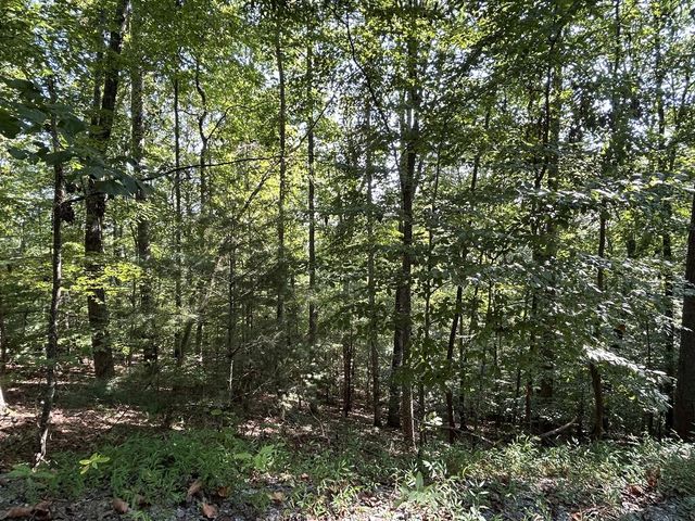 Lot 341 Catawba Circle, Ellijay, GA 30540