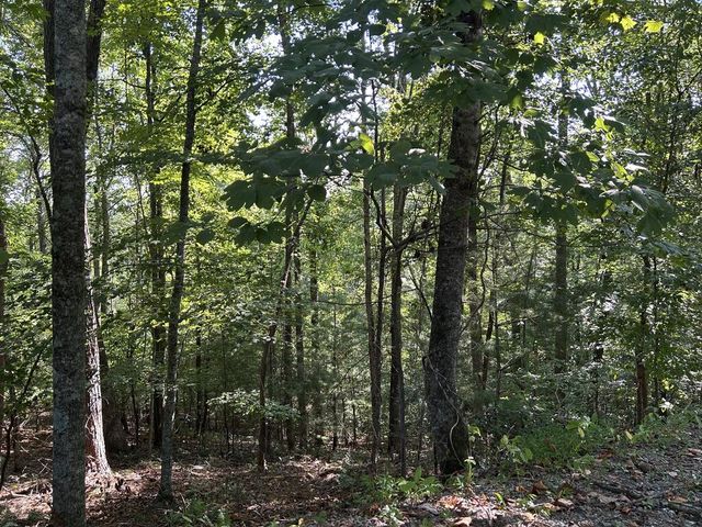 Lot 341 Catawba Circle, Ellijay, GA 30540