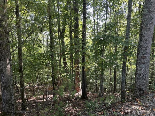 Lot 341 Catawba Circle, Ellijay, GA 30540