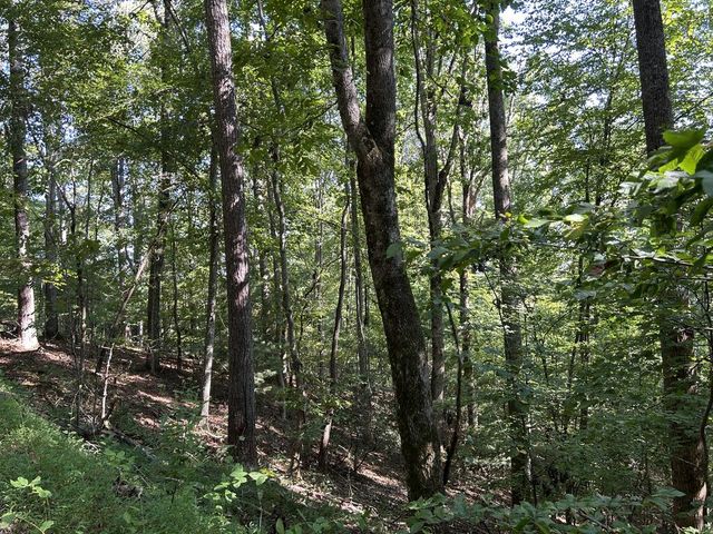Lot 341 Catawba Circle, Ellijay, GA 30540