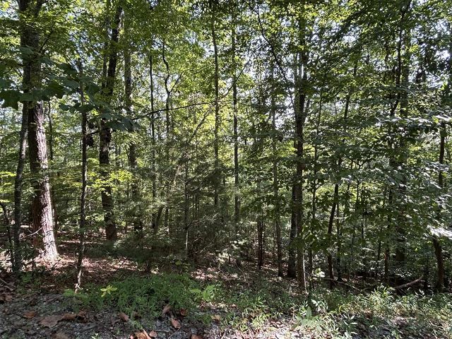 Lot 341 Catawba Circle, Ellijay, GA 30540
