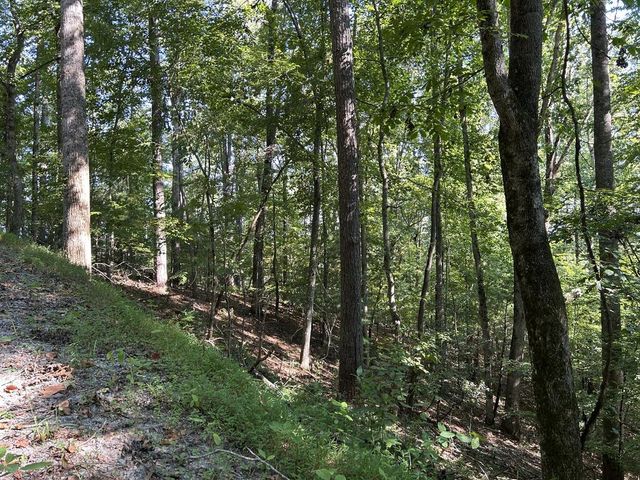 Lot 341 Catawba Circle, Ellijay, GA 30540