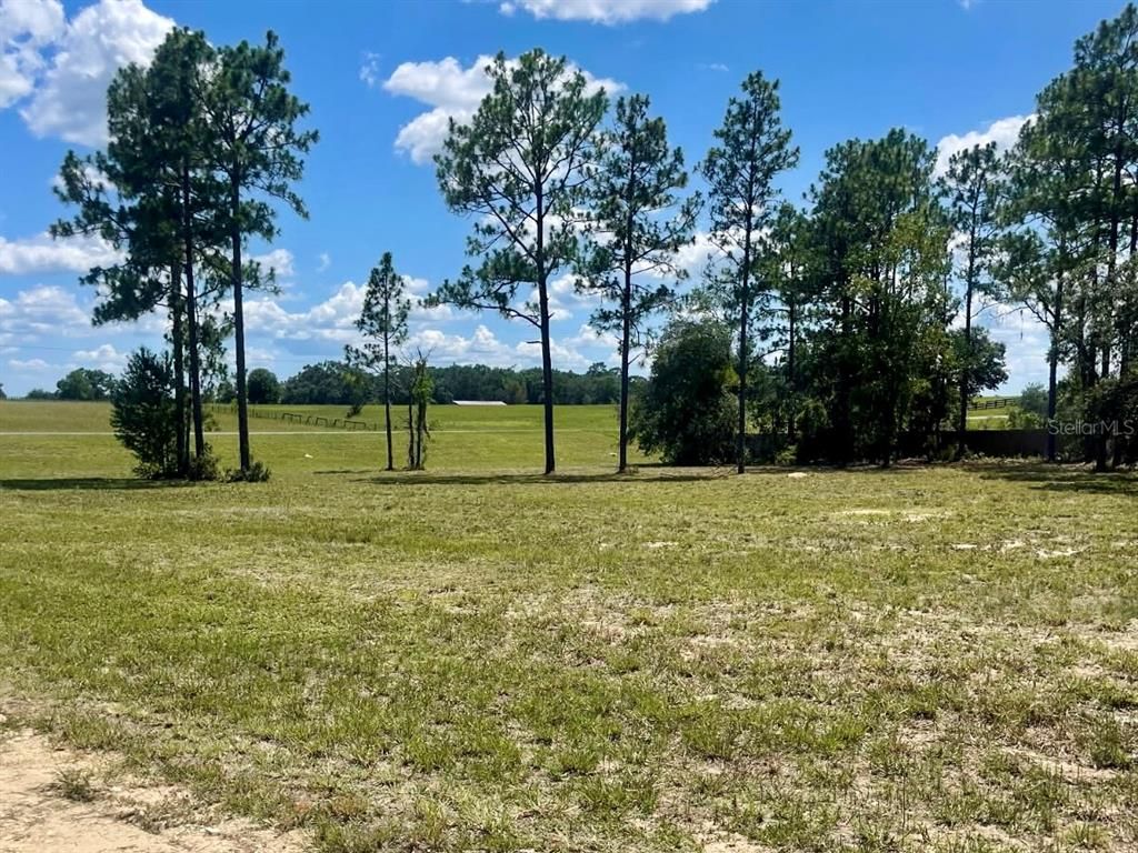 NE 137TH AVENUE, Williston, FL 32696