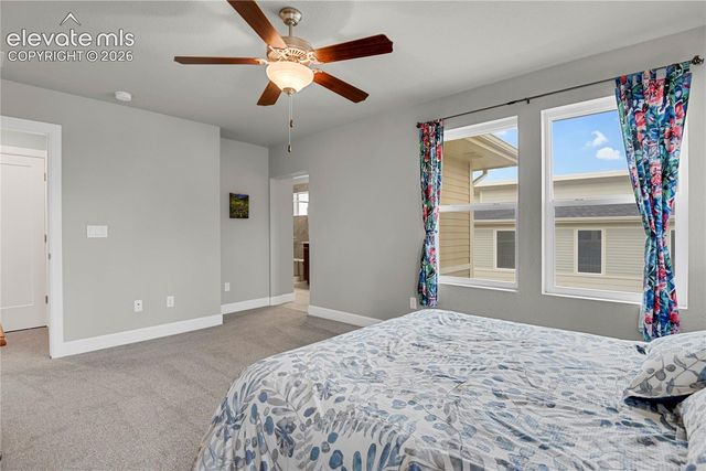 10007 Vervain View, Colorado Springs, CO 80924