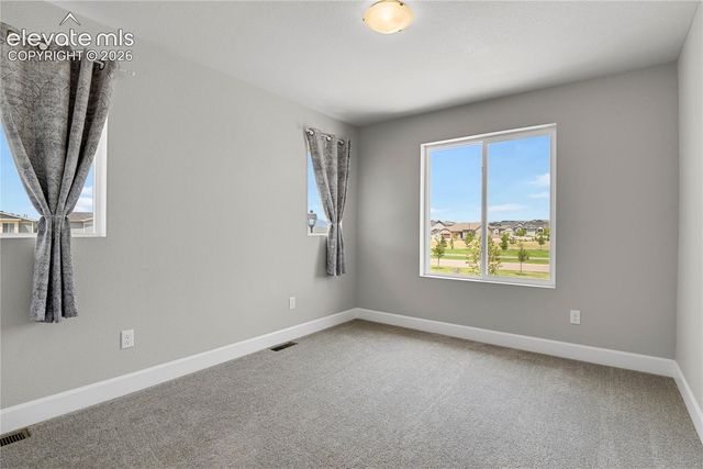 10007 Vervain View, Colorado Springs, CO 80924