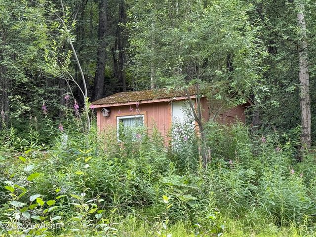 16995 W Lighthouse Drive, Big Lake, AK 99652