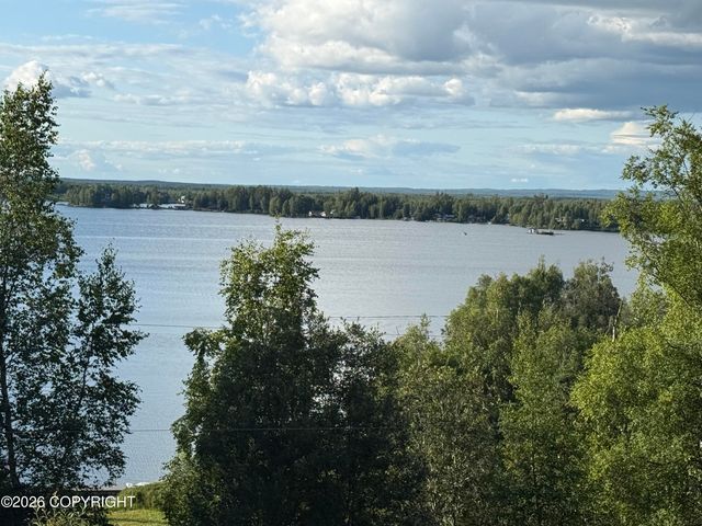 16995 W Lighthouse Drive, Big Lake, AK 99652