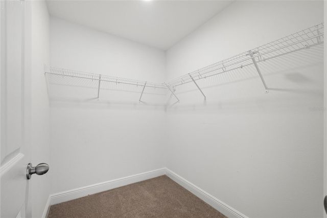 3091 KING FERN DRIVE, Wimauma, FL 33598