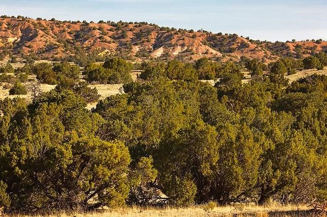 54 Southern Crescent, Lamy, NM 87540