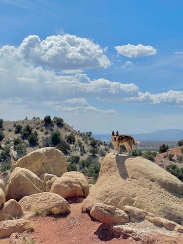 54 Southern Crescent, Lamy, NM 87540