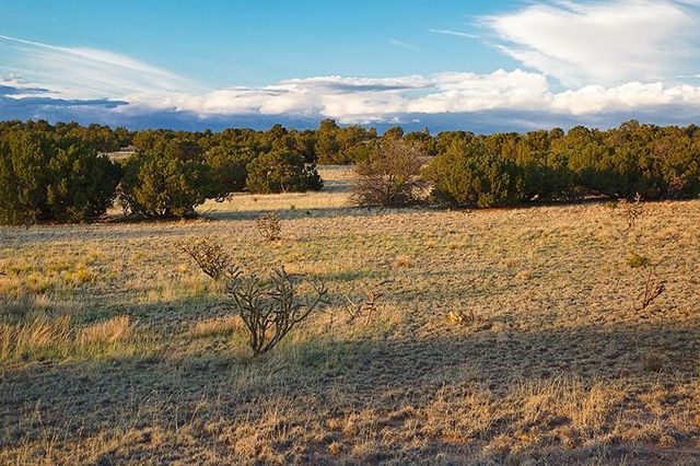 54 Southern Crescent, Lamy, NM 87540