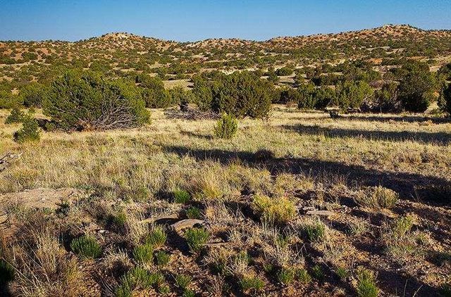 54 Southern Crescent, Lamy, NM 87540