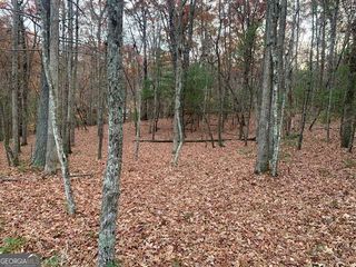 LOT 4 Courtney Lane, Blairsville, GA 30512