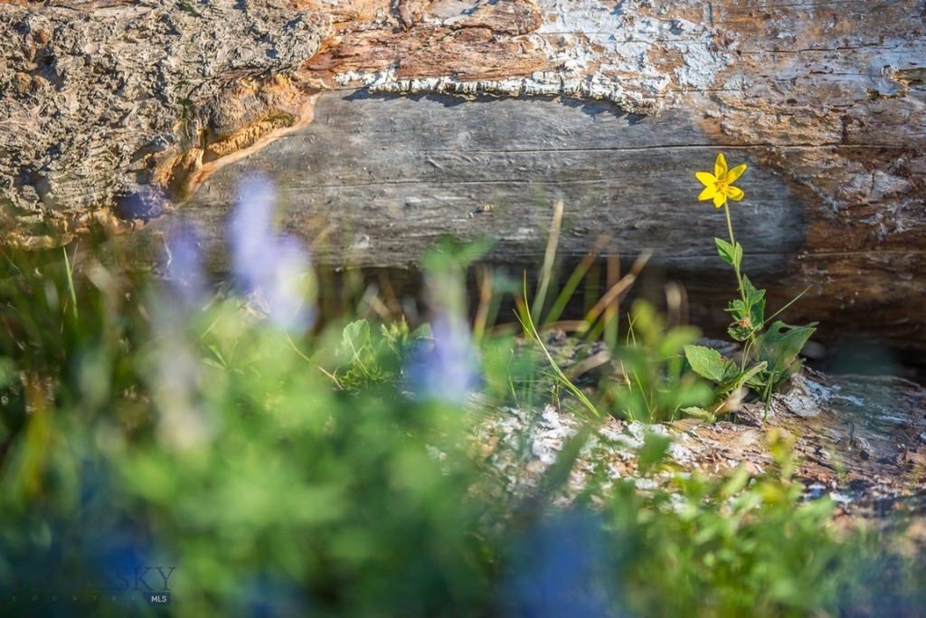 TBD Ridge Fork Road, Big Sky, MT 59716 photo 15