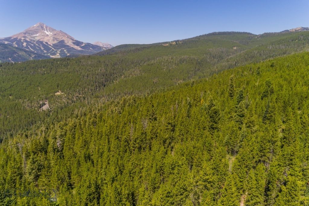 TBD Ridge Fork Road, Big Sky, MT 59716 photo 16