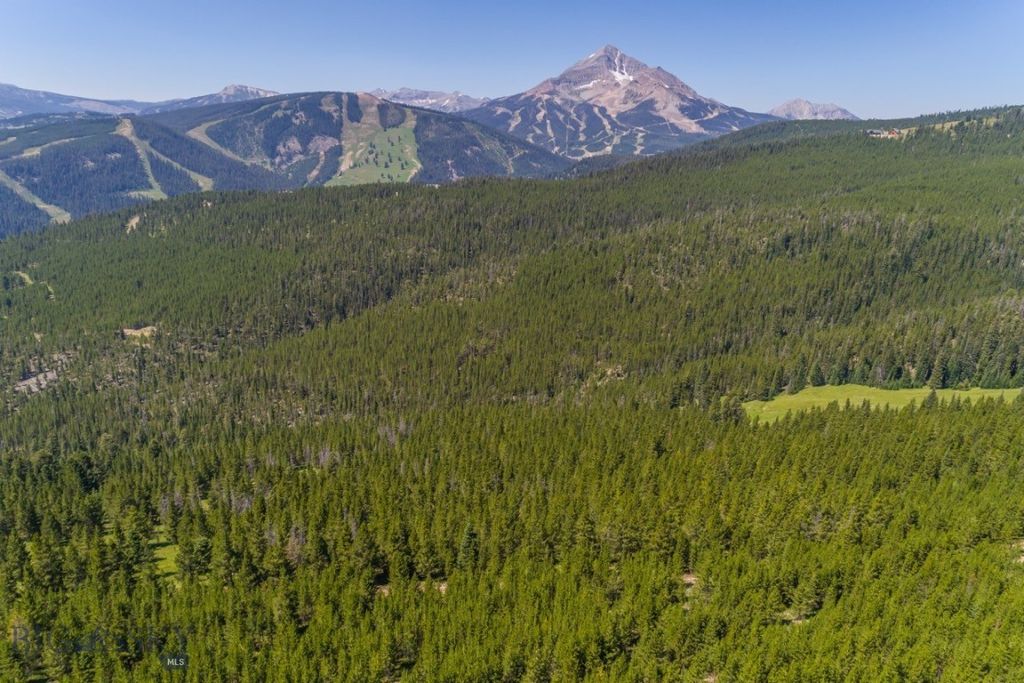 TBD Ridge Fork Road, Big Sky, MT 59716 photo 19