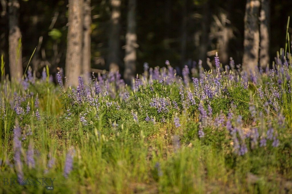 TBD Ridge Fork Road, Big Sky, MT 59716 photo 23