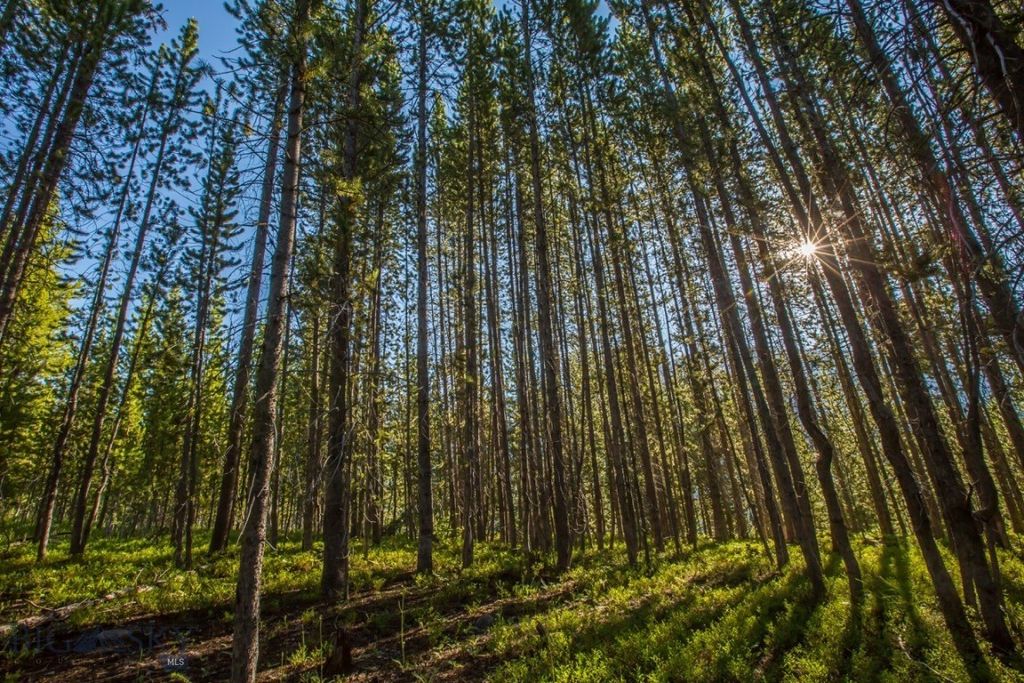 TBD Ridge Fork Road, Big Sky, MT 59716 photo 25