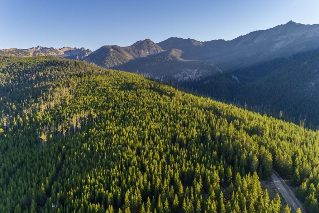 TBD Ridge Fork Road, Big Sky, MT 59716 photo 7