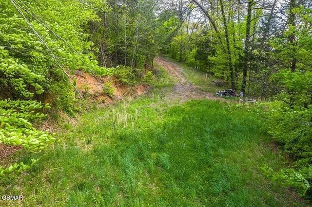 2 Caywood Road, Dandridge, TN 37725