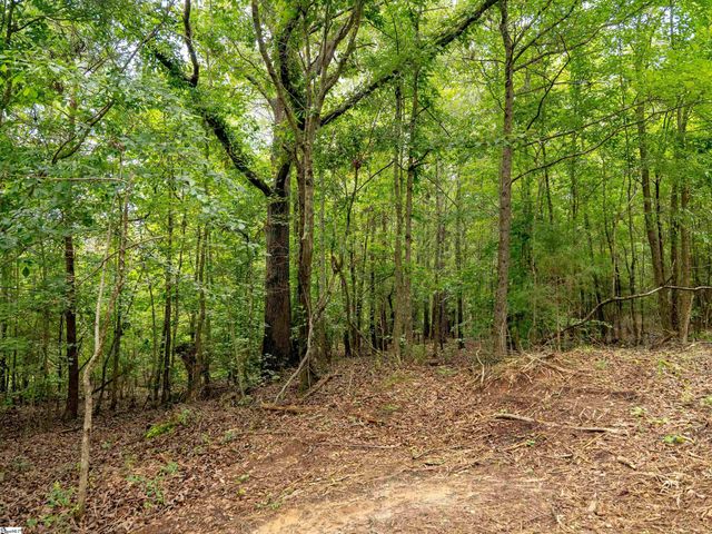 00 Terry Road Lot 7, Fountain Inn, SC 29644