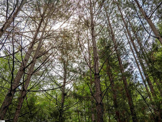 00 Terry Road Lot 7, Fountain Inn, SC 29644